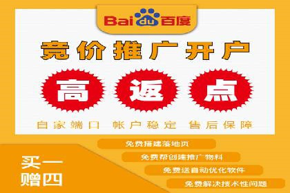百度搜索推广案例集锦：实战技巧分享